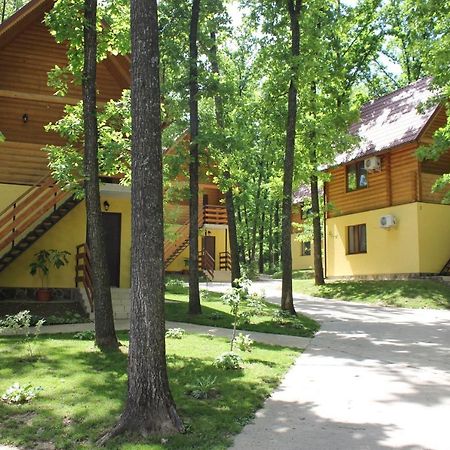 Вілія Hotel Lomacineţi Exterior foto