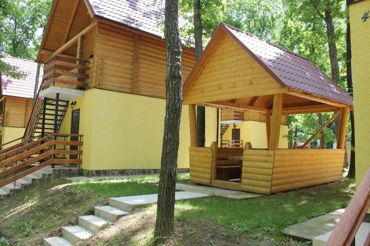 Вілія Hotel Lomacineţi Exterior foto