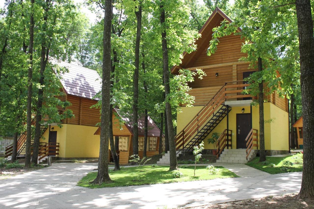 Вілія Hotel Lomacineţi Exterior foto
