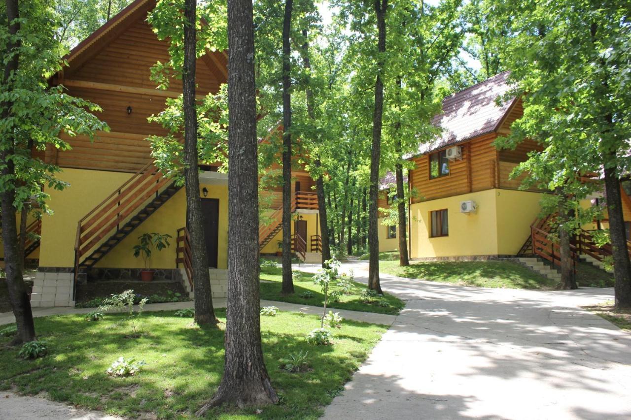 Вілія Hotel Lomacineţi Exterior foto